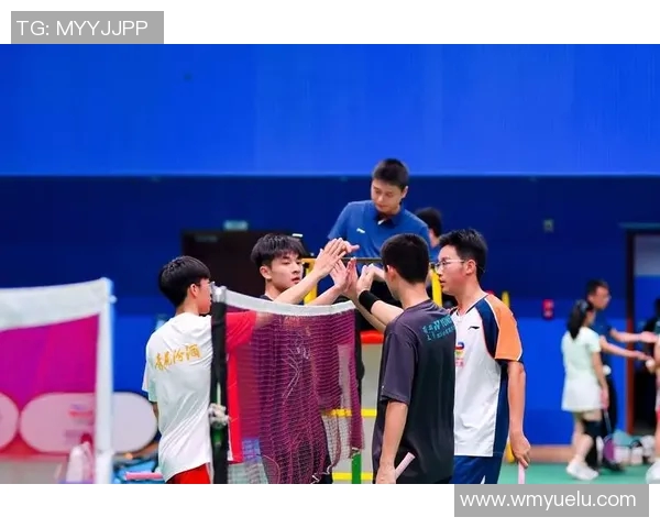 成都羽毛球队在防反战术中的优势与不足分析 成都羽毛球队在防反战术中的优势与不足分析