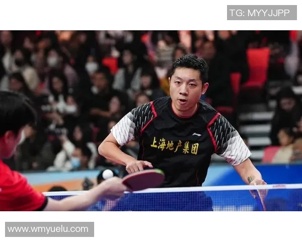 南京乒乓球队在全国锦标赛中展现灵活战术与团队协作的精彩表现分析 南京乒乓球队在全国锦标赛中展现灵活战术与团队协作的精彩表现分析