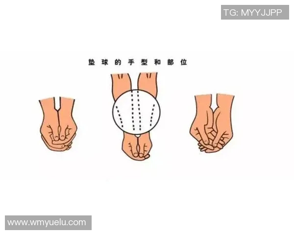 排球新手必看:提升灵活性的全面入门攻略与训练技巧分享 排球新手必看:提升灵活性的全面入门攻略与训练技巧分享