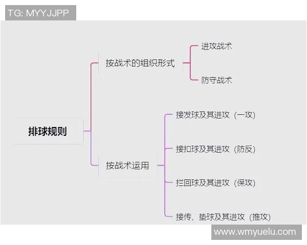 深圳排球队战术解析及其对比分析深度剖析 深圳排球队战术解析及其对比分析深度剖析