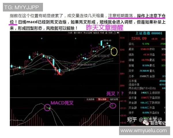 西安羽毛球队与重庆羽毛球队赛后复盘分析比赛节奏与战术对比