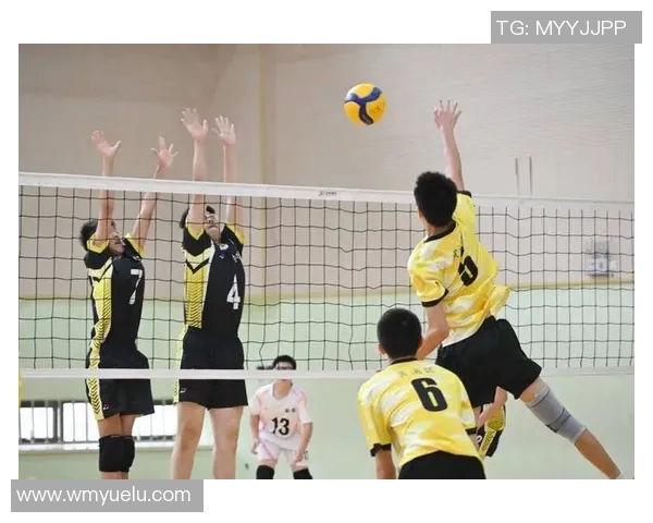 上海排球队的节奏与风采探秘：排球运动的魅力与发展之路