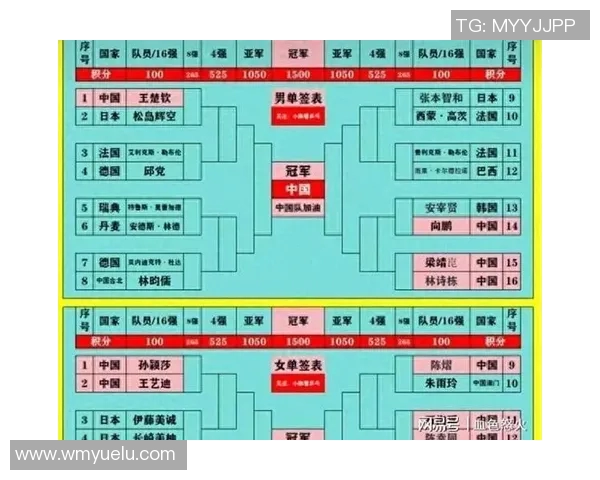 乒乓球团队协作实力排名揭晓各国队伍表现一览