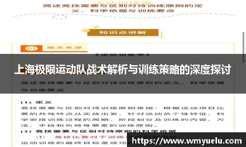 上海极限运动队战术解析与训练策略的深度探讨