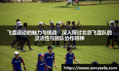 飞盘运动的魅力与挑战：深入探讨北京飞盘队的灵活性与团队协作精神