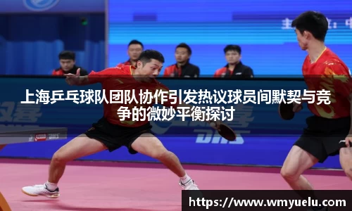 zoty中欧