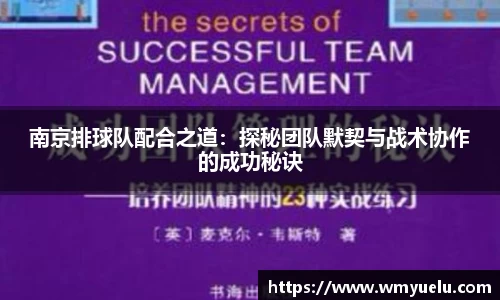 南京排球队配合之道：探秘团队默契与战术协作的成功秘诀