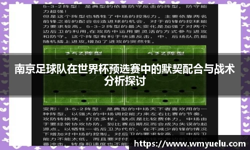 zoty中欧