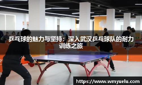 zoty中欧官方网站
