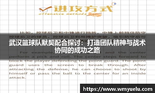 zoty中欧