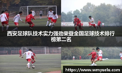 zoty中欧