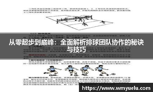 zoty中欧官方网站